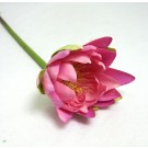 Künstliche Seerose mit Stiel klein, rosa-grün ca. 63 cm